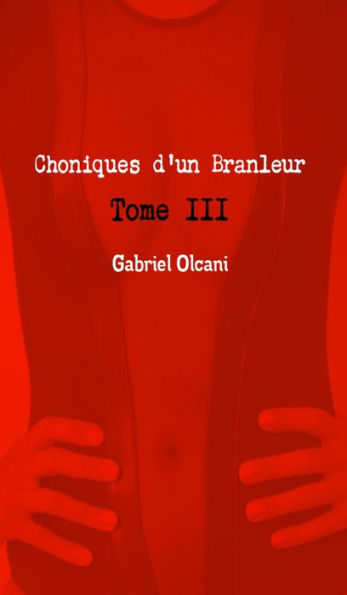 Chroniques d'un branleur Tome III