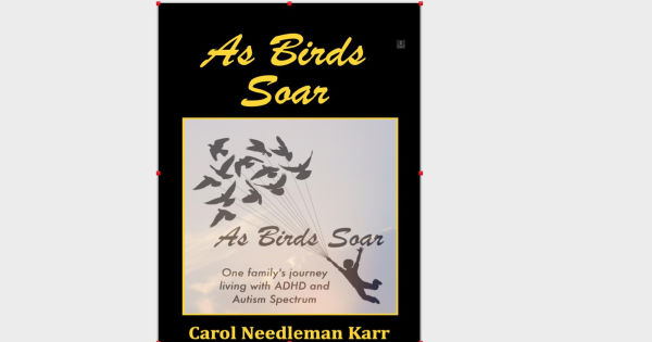 As Birds Soar: One Family's Journey Living with ADHD, and Autism Spectrum