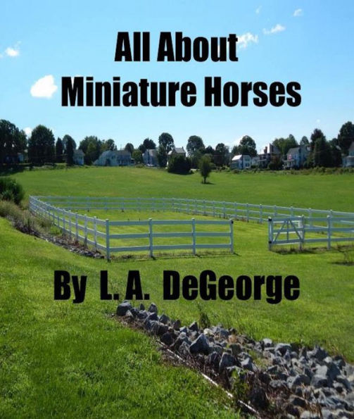 All About Miniature Horses