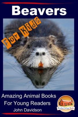 Beavers For Kids Amazing Animal Books For Young Readers By