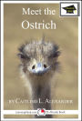 Meet the Ostrich: Educational Version