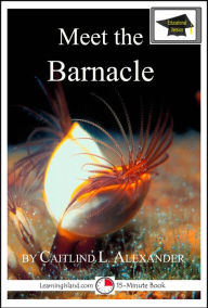 Title: Meet the Barnacle: Educational Version, Author: Caitlind L. Alexander