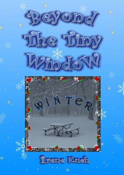 Beyond The Tiny Window: Winter