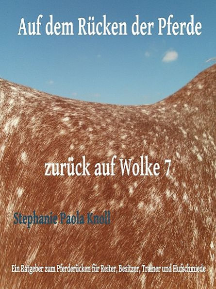 Auf dem Rücken der Pferde - zurück auf Wolke 7