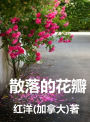 zhong wen wen xue Chinese Essay: san luo de hua ban