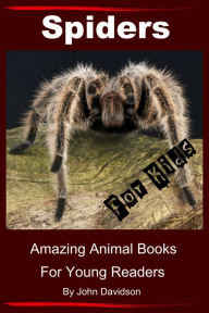 Title: Spiders for Kids: Amazing Animal Books for Young Readers, Author: John Davidson