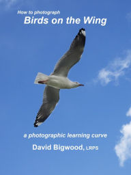 Title: How to Photograph Birds on the Wing, Author: David Bigwood