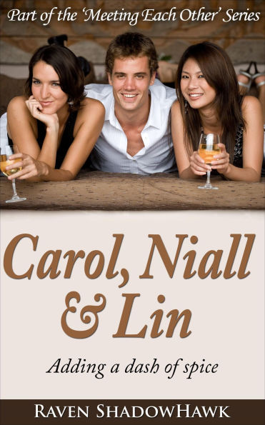 Carol, Niall & Lin (Meeting Each Other, #2)