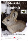 Meet the Rabbit: A 15-Minute Book for Early Readers, Educational Version