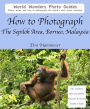 How to Photograph The Sepilok Area, Borneo, Malaysia