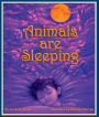 Animals are Sleeping