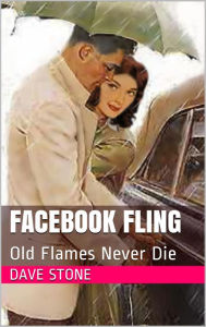 Title: Facebook Fling, Author: Dave Stone