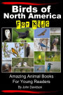 Birds of North America For Kids: Amazing Animal Books for Young Readers