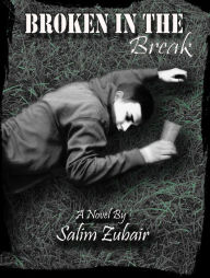 Title: Broken in the Break, Author: Salim Tobi Zubair