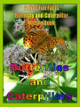 Butterflies and Caterpillars: A Kids Fun Facts Butterfly and Caterpillar Nature Book