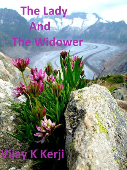 The Lady And The Widower