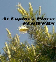 Title: At Lupine's Place: Flowers, Author: Lupine Lass