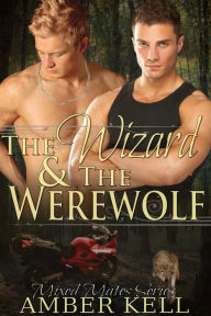 Title: The Wizard and The Werewolf, Author: Amber Kell