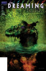 The Dreaming (1996-) #45