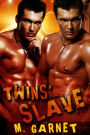 Twins' Slave