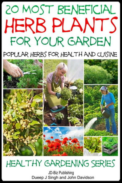20 Most Beneficial Herb Plants for Your Garden