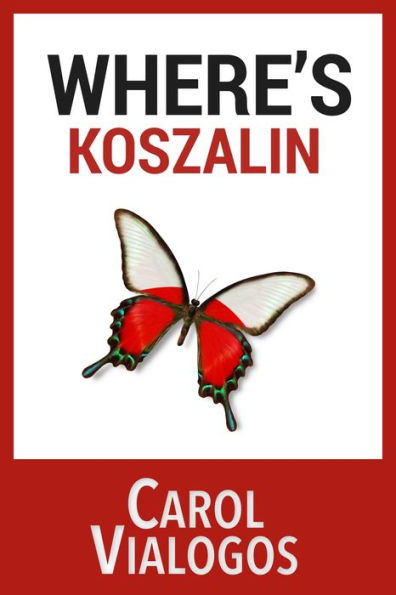 Where's Koszalin? Teaching English Abroad