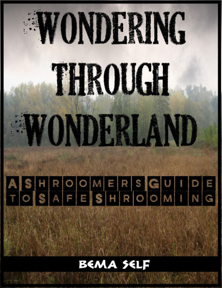 The Shroomers Guide To Safe Shrooming