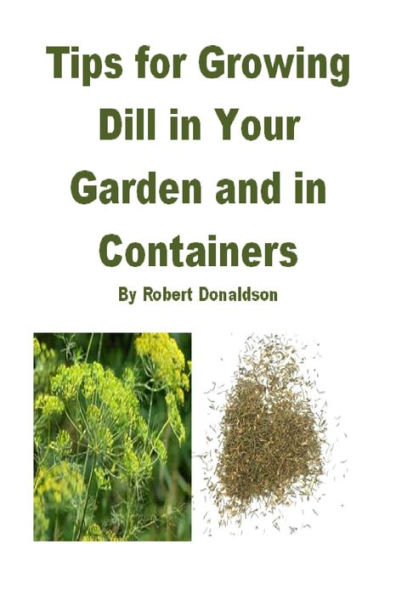 Tips for Growing Dill in Your Garden and in Containers
