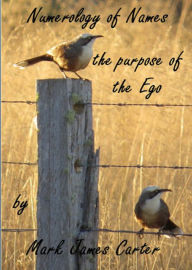 Title: Numerology of Names: the Purpose of the Ego, Author: Mark James Carter