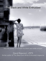 Title: The Black and White Enthusiast, Author: David Bigwood