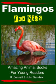 Title: Flamingos For Kids: Amazing Animal Books For Young Readers, Author: K. Bennett