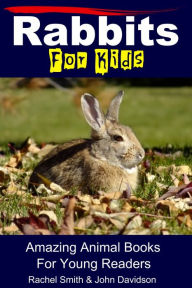 Title: Rabbits For Kids: Amazing Animal Books For Young Readers, Author: Rachel Smith