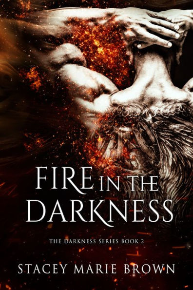 Fire In The Darkness (Darkness Series #2)