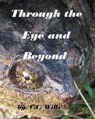 Title: Through the Eye and Beyond, Author: C.C. Wills