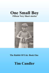 Title: One Small Boy, Author: Tim Candler