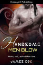 Handsome Men Blow