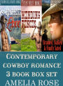 Contemporary Cowboy Romance 3 Book Box Set