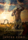 Dragonfly Awakening (Love Bug Series, #2)