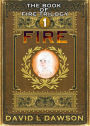 Fire (The Book of Fire Trilogy, #1)