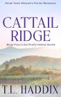 Cattail Ridge: A Small Town Women's Fiction Romance (Firefly Hollow, #5)
