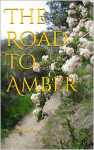 Title: The Road to Amber, Author: Barbara Bretana