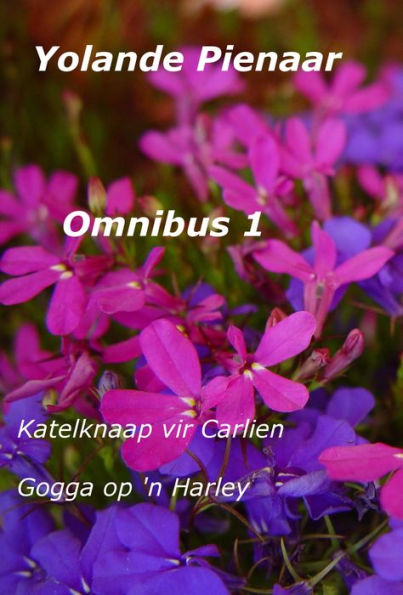 Omnibus 1: Katelknaap vir Carlien & Gogga op 'n Harley (Afrikaans Edition)