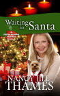 Waiting for Santa (Jillian Bradley Mysteries Series #6)