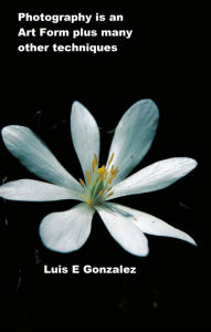 Title: Photography is An Art Form, Author: Luis Gonzalez