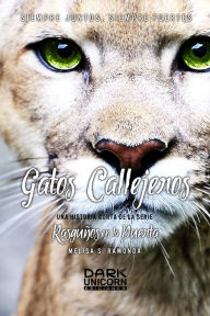 Title: Gatos Callejeros -RELP Sidestory 2-, Author: Melisa S. Ramonda