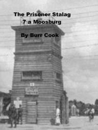 Title: The Prisoner, Stalag VIIA Moosburg, Author: Burr Cook