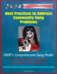 Title: Best Practices to Address Community Gang Problems: OJJDP's Comprehensive Gang Model - Intervention Teams, Outreach Workers, Law Enforcement, Suppression, Social Control, Reentry Programs, Author: Progressive Management