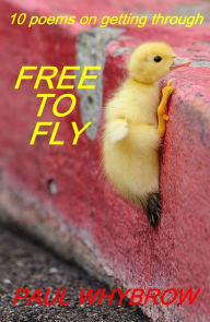 Title: Free To Fly: 10 Poems on Getting Through, Author: Paul Whybrow