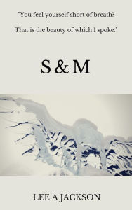 Title: S and M, Author: Lee A Jackson