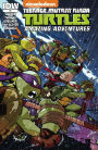 Teenage Mutant Ninja Turtles: Amazing Adventures #2